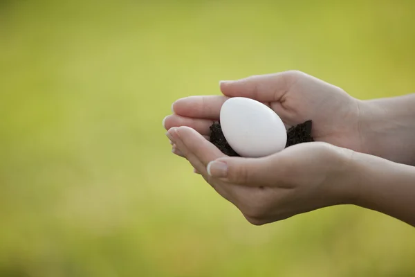 Forsigtigt at holde et æg - Stock-foto