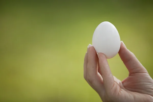 Holding an Egg — Stock Photo, Image