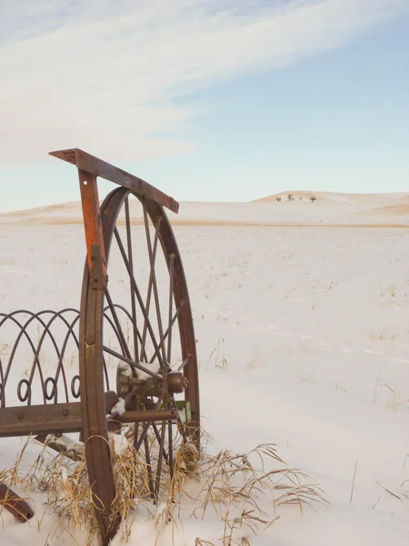 stock image Old rake in a snow covered field