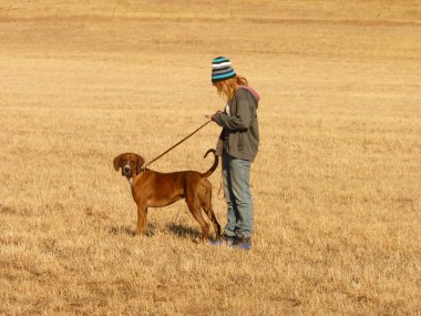 genç kız yürüyen köpek