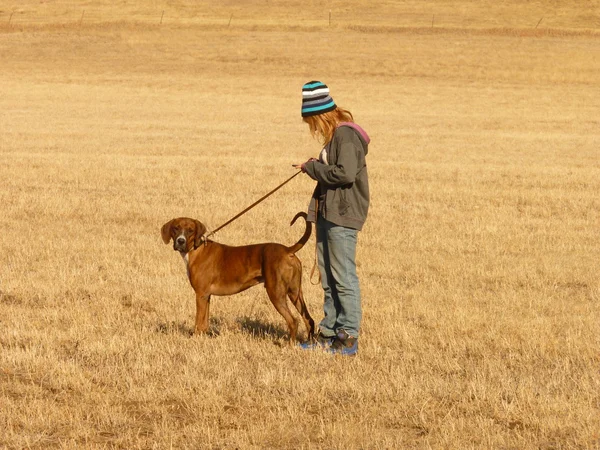 Mladá dívka chodící pes Stock Fotografie