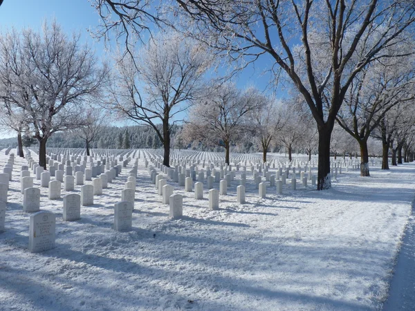Frostige Bäume auf dem Nationalfriedhof — Stockfoto