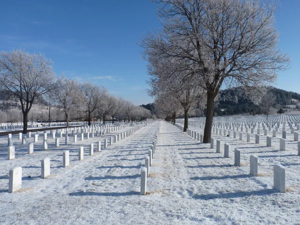 Zima na Narodowy Cmentarz — Zdjęcie stockowe