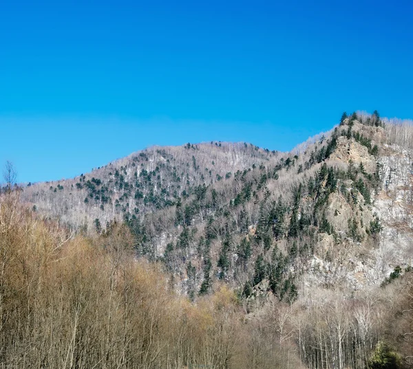 Долина в красивому зимовий день — стокове фото