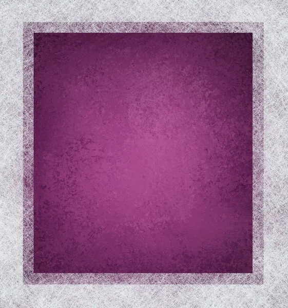 Viola e sfondo bianco — Foto Stock