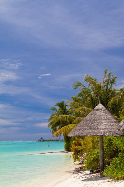 Amazing tropical beach — Stock Photo, Image