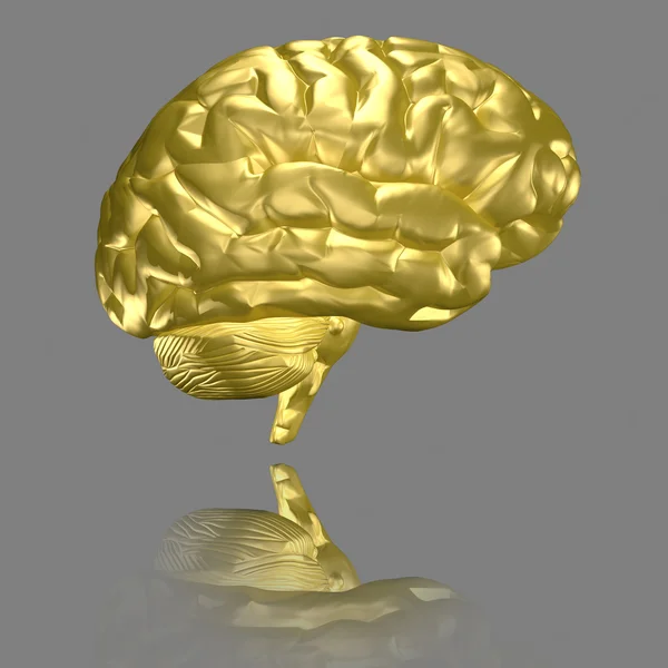 Brain - gold Royalty Free Stock Images