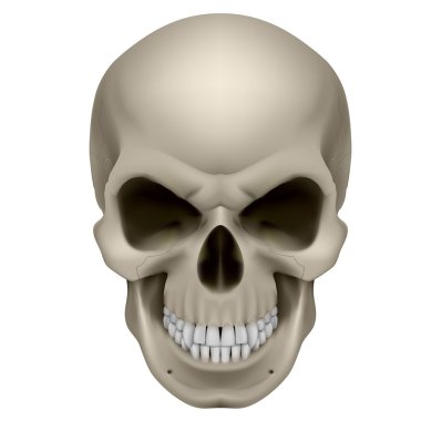 Human Skull clipart