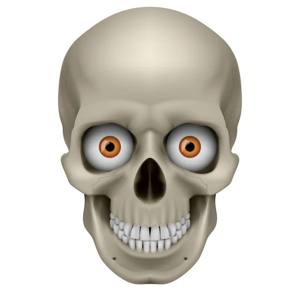 Cráneo humano raro — Vector de stock