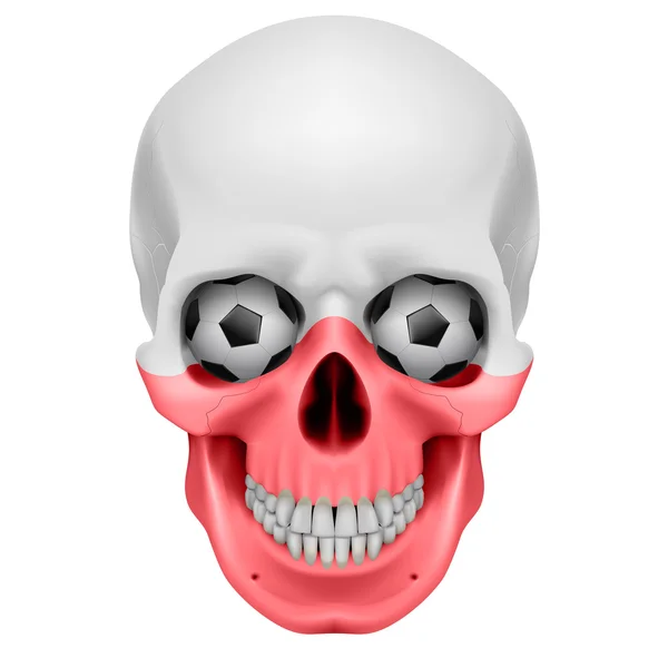 인간의 두개골 — 스톡 벡터