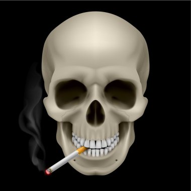 Human Skull clipart