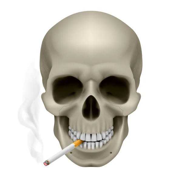 Crâne humain — Image vectorielle