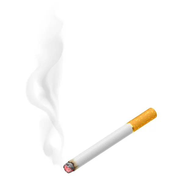 Cigarro ardente realista — Vetor de Stock
