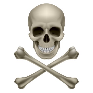 kafatası ve kemiklerin