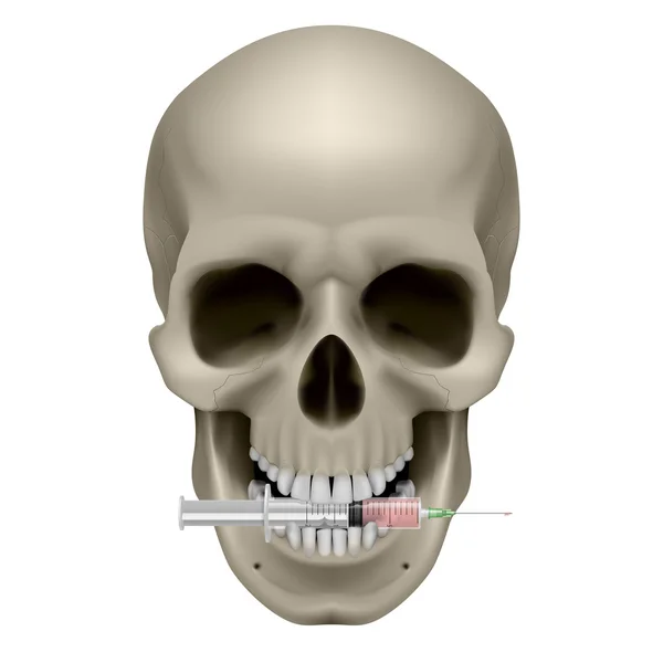 Realistic skull with a cigarette — Stock Vector