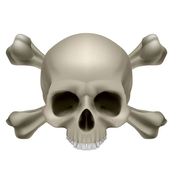 Human skull and crossbones — Stock Vector