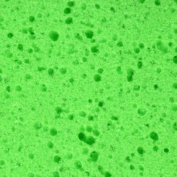 Zielona gąbka — Zdjęcie stockowe