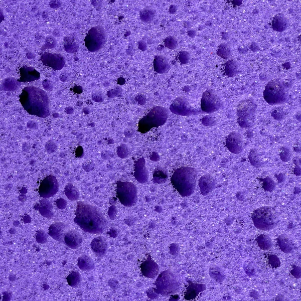 Purpurová houba — Stock fotografie
