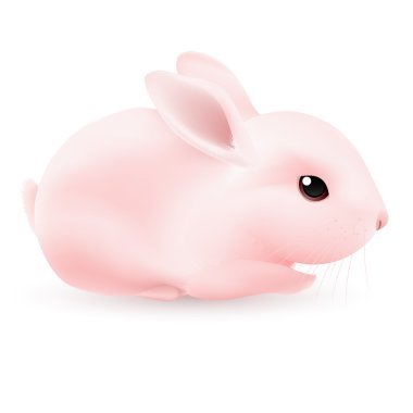 Pink Rabbit clipart