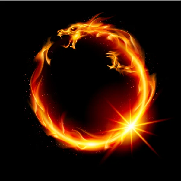 Dragon de feu — Image vectorielle