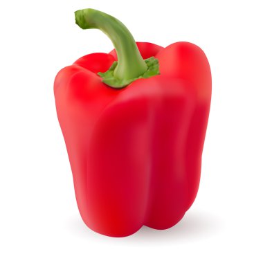 One Red pepper clipart