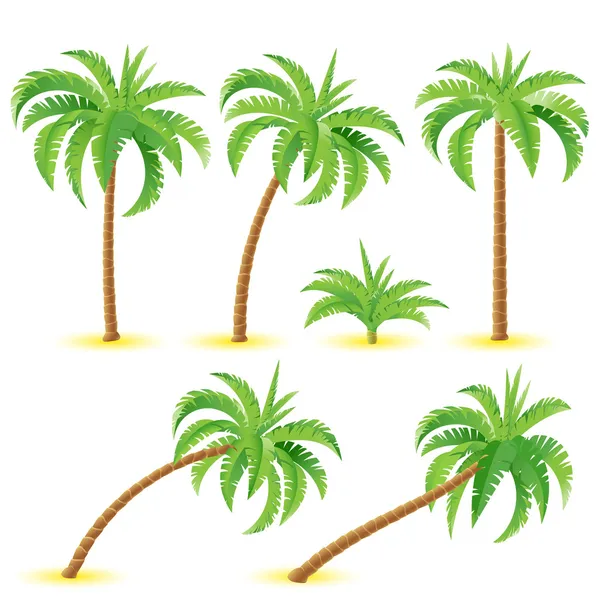 Coconut palms — Stock Vector