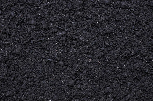 肥沃的黑色土壤 — 图库照片