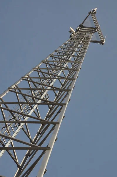Soaring mast cell — Stock Photo, Image