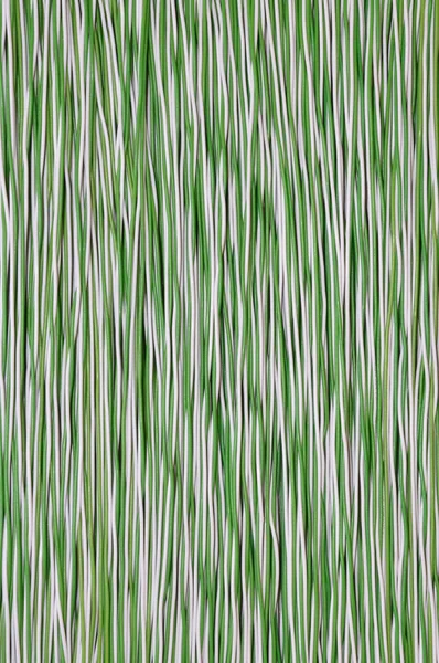 Renkli ağ kablosu beyaz yeşil — Stok fotoğraf