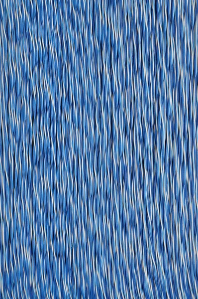 Цветной сетевой кабель белый голубой флот — стоковое фото