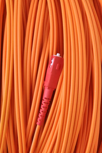 Geniş bant ağı için düzenlediği optik kablo — Stok fotoğraf