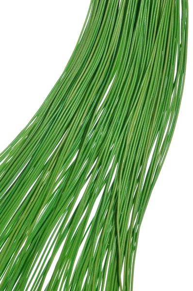 Groene kabels — Stockfoto