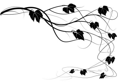 Creeper vine branches clipart