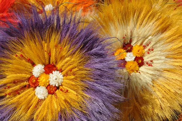 色の花を乾燥 — ストック写真