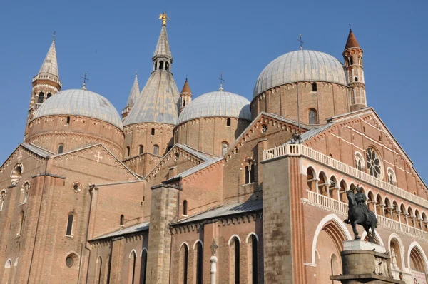 บาซิลิก้า Padova — ภาพถ่ายสต็อก