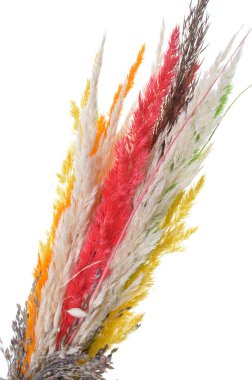 kurutulmuş ot bileşimi