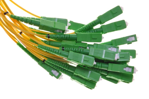 Svazek optických kabelů s zelené konektory sc捆绑的绿色插头 sc 光纤电缆 — 图库照片