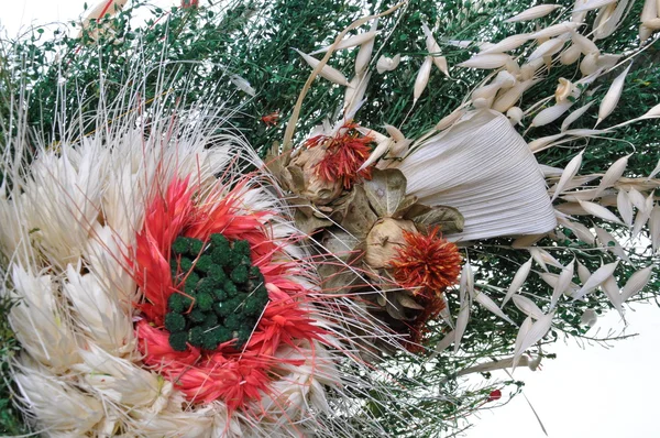 stock image Composition of dried flowers