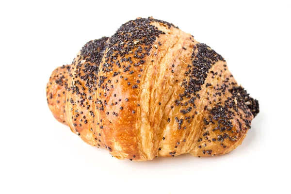 stock image Croissant