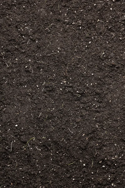 Soil background — Stock Photo, Image