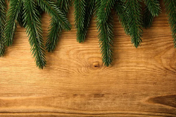 Fir kerstboom — Stockfoto
