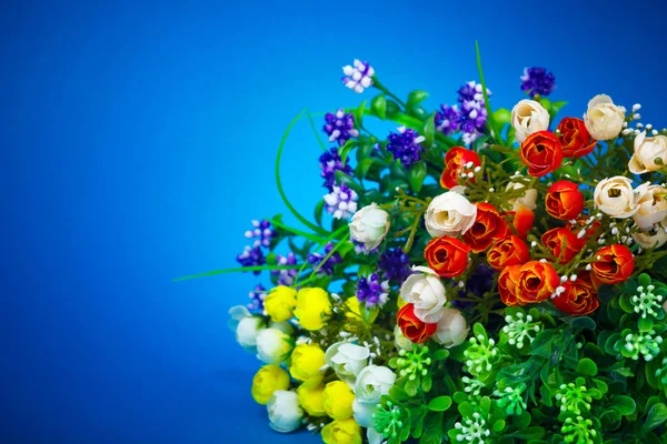 stock image Flowers