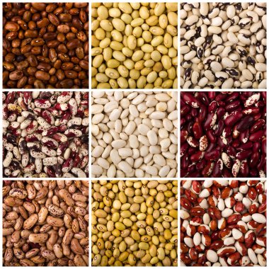 Beans colorful clipart