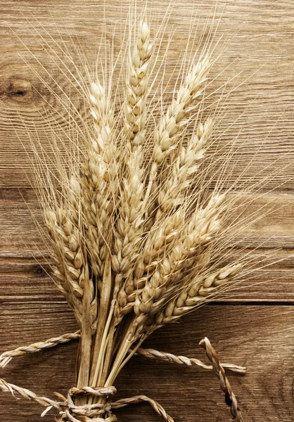 穗小麦 — 图库照片