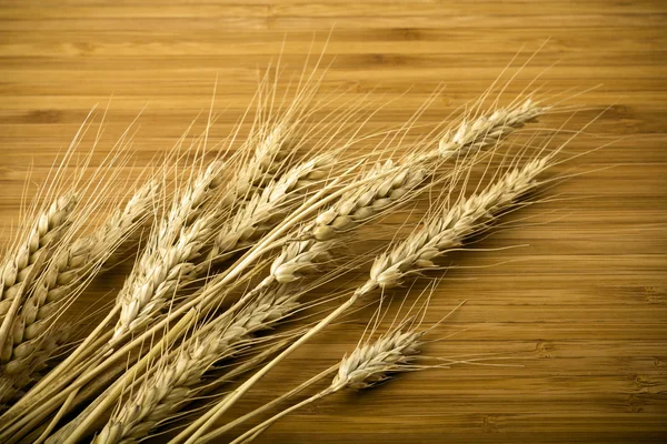 Spike of wheat — Stock Photo, Image