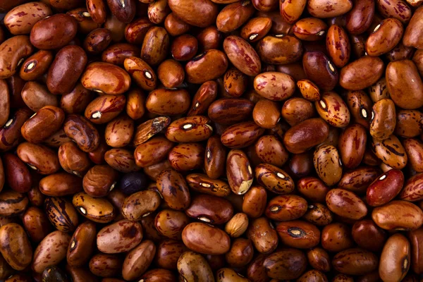 Background beans — Stock Photo, Image