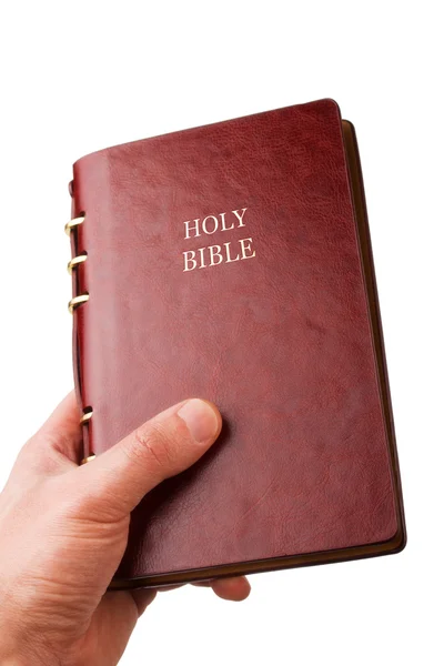 stock image Bible in hands
