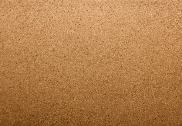 Leather texture — Stock Photo, Image