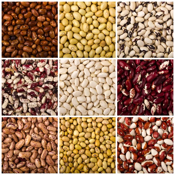 Stock image Beans colorful