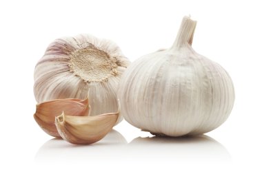 Garlic clipart